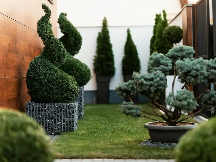 Hardscaping Services